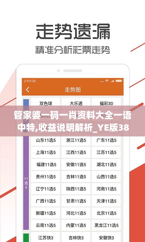 管家婆一码一肖资料大全一语中特,收益说明解析_YE版38.772