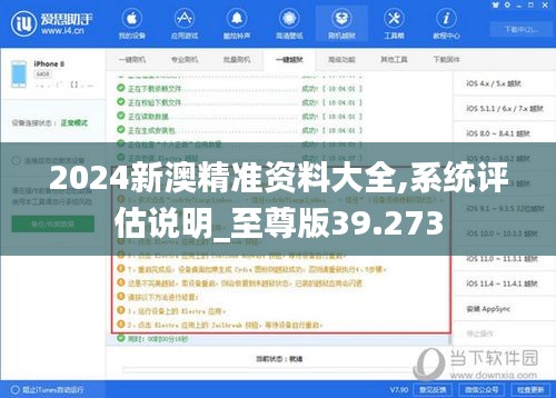 2024新澳精准资料大全,系统评估说明_至尊版39.273