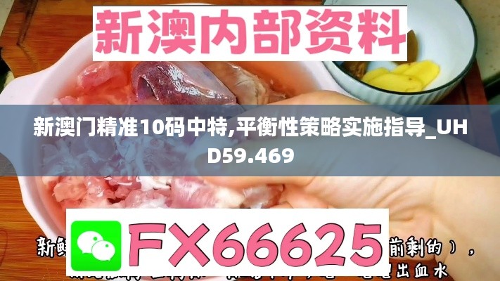 新澳门精准10码中特,平衡性策略实施指导_UHD59.469