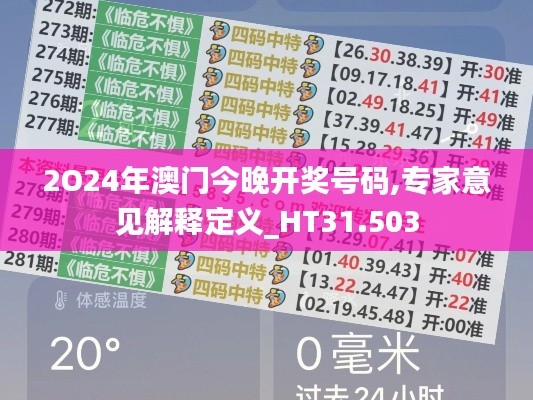 2O24年澳门今晚开奖号码,专家意见解释定义_HT31.503