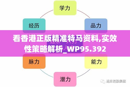 看香港正版精准特马资料,实效性策略解析_WP95.392