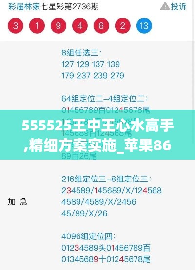 555525王中王心水高手,精细方案实施_苹果86.408