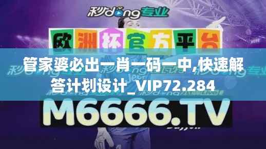 管家婆必出一肖一码一中,快速解答计划设计_VIP72.284