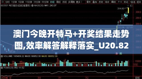 澳门今晚开特马+开奖结果走势图,效率解答解释落实_U20.824