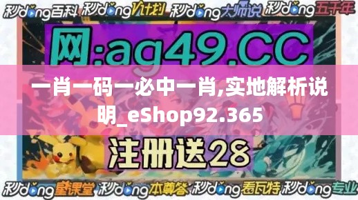 一肖一码一必中一肖,实地解析说明_eShop92.365