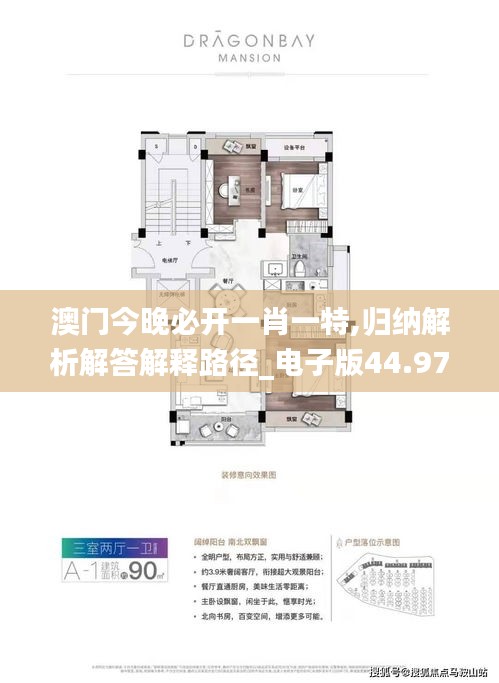 澳门今晚必开一肖一特,归纳解析解答解释路径_电子版44.97