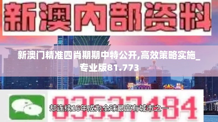 新澳门精准四肖期期中特公开,高效策略实施_专业版81.773