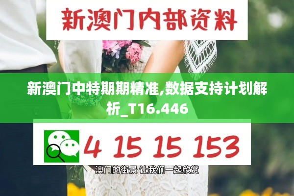 新澳门中特期期精准,数据支持计划解析_T16.446