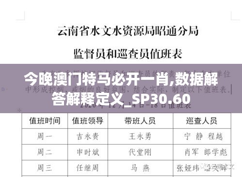 今晚澳门特马必开一肖,数据解答解释定义_SP30.60