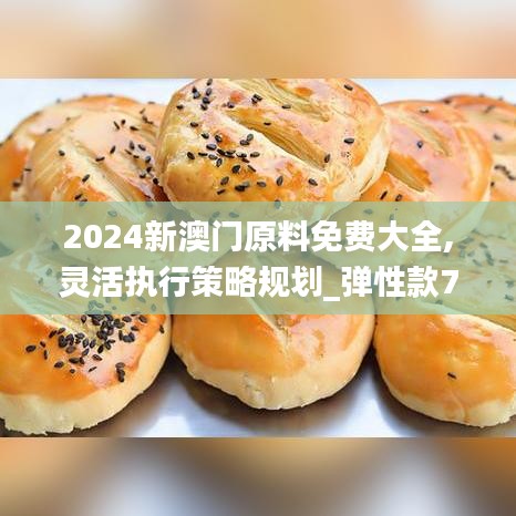 2024新澳门原料免费大全,灵活执行策略规划_弹性款78.927