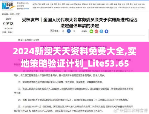 2024新澳天天资料免费大全,实地策略验证计划_Lite53.65