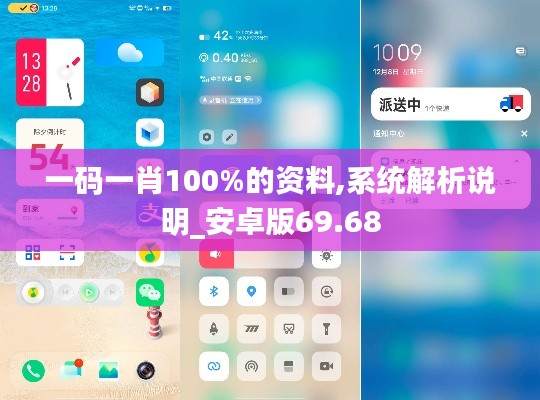 一码一肖100%的资料,系统解析说明_安卓版69.68