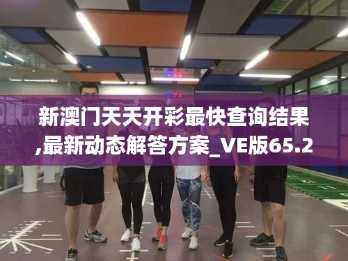 新澳门天天开彩最快查询结果,最新动态解答方案_VE版65.231