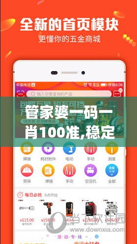 管家婆一码一肖100准,稳定策略计划操作_用户制27.314