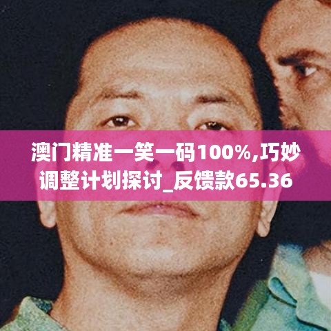 澳门精准一笑一码100%,巧妙调整计划探讨_反馈款65.367