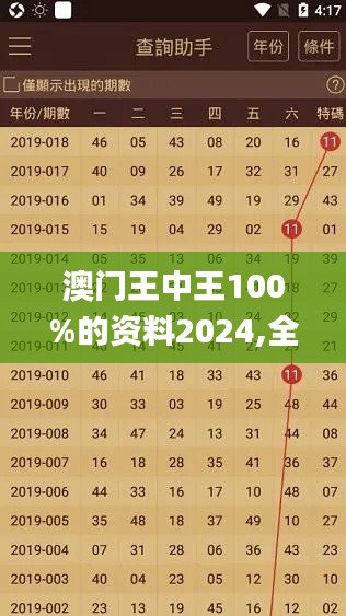 澳门王中王100%的资料2024,全部解答解释落实_pro42.124