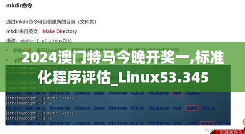 2024澳门特马今晚开奖一,标准化程序评估_Linux53.345