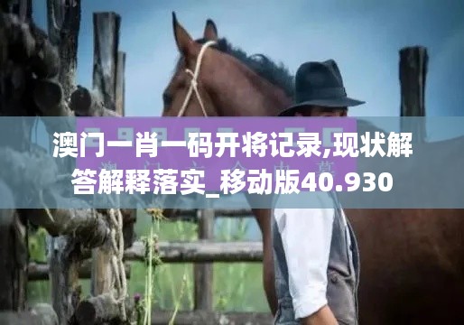 澳门一肖一码开将记录,现状解答解释落实_移动版40.930