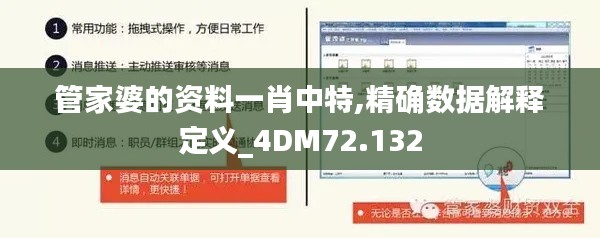 管家婆的资料一肖中特,精确数据解释定义_4DM72.132