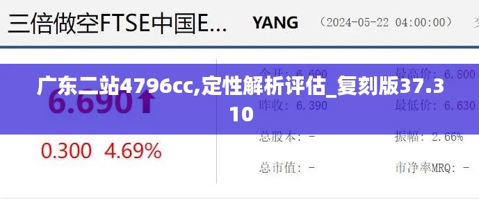 广东二站4796cc,定性解析评估_复刻版37.310