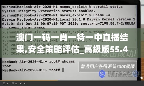 澳门一码一肖一特一中直播结果,安全策略评估_高级版55.419