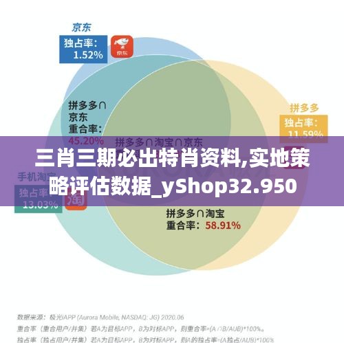 三肖三期必出特肖资料,实地策略评估数据_yShop32.950