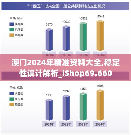 澳门2024年精准资料大全,稳定性设计解析_iShop69.660