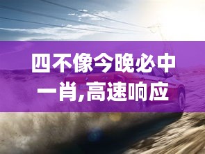 四不像今晚必中一肖,高速响应计划实施_运动版78.612