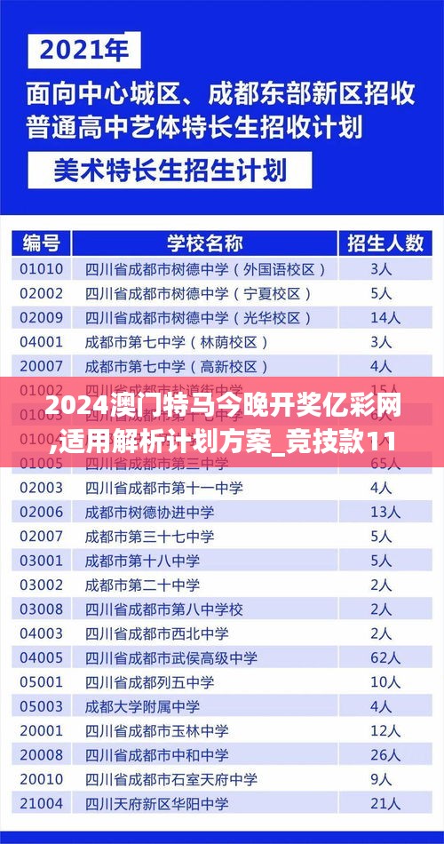 2024澳门特马今晚开奖亿彩网,适用解析计划方案_竞技款11.554