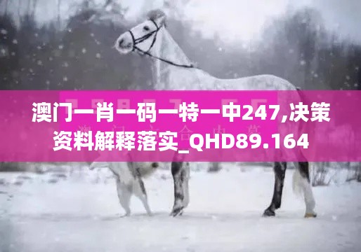 澳门一肖一码一特一中247,决策资料解释落实_QHD89.164