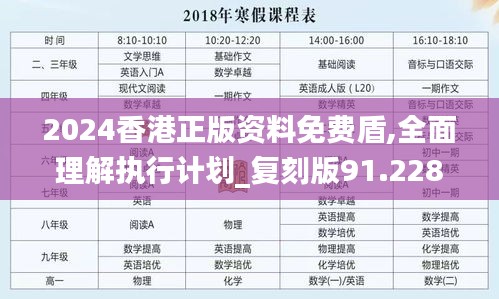 2024香港正版资料免费盾,全面理解执行计划_复刻版91.228