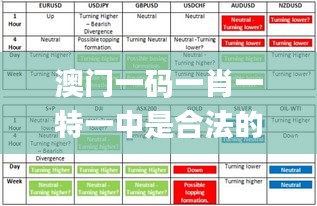 澳门一码一肖一特一中是合法的吗,全面数据策略解析_Executive69.354