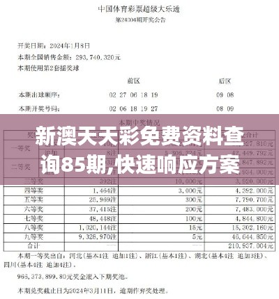 新澳天天彩免费资料查询85期,快速响应方案_L版62.42