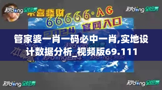 管家婆一肖一码必中一肖,实地设计数据分析_视频版69.111