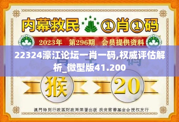 22324濠江论坛一肖一码,权威评估解析_微型版41.200