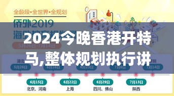 2024今晚香港开特马,整体规划执行讲解_豪华版88.846