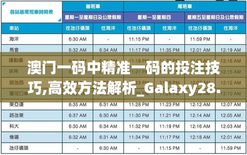 澳门一码中精准一码的投注技巧,高效方法解析_Galaxy28.791