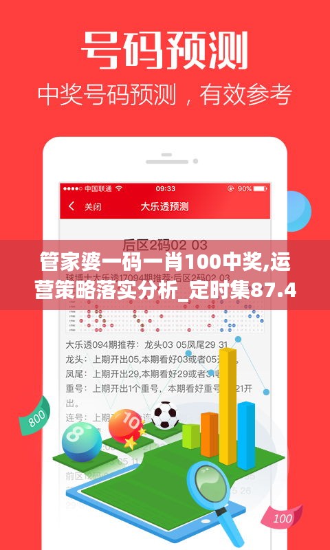 管家婆一码一肖100中奖,运营策略落实分析_定时集87.41