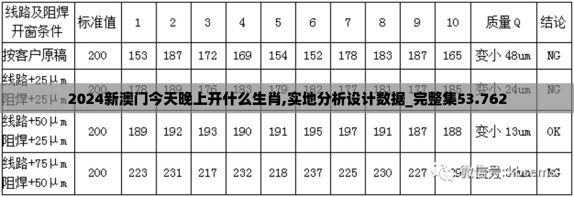 2024新澳门今天晚上开什么生肖,实地分析设计数据_完整集53.762