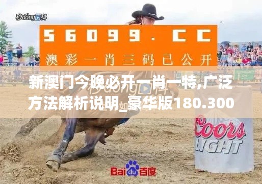 新澳门今晚必开一肖一特,广泛方法解析说明_豪华版180.300