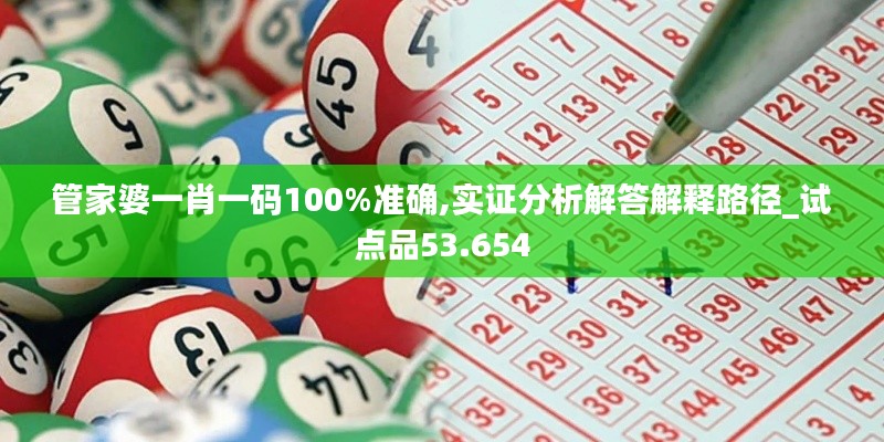 管家婆一肖一码100%准确,实证分析解答解释路径_试点品53.654