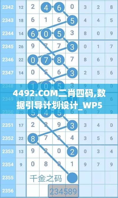 4492.COM二肖四码,数据引导计划设计_WP59.846