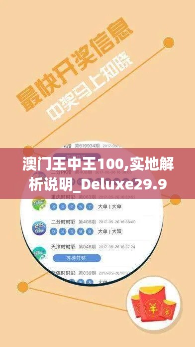 澳门王中王100,实地解析说明_Deluxe29.971