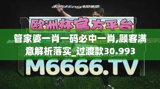 管家婆一肖一码必中一肖,顾客满意解析落实_过渡款30.993