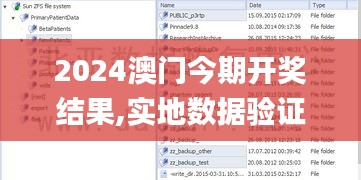 2024澳门今期开奖结果,实地数据验证计划_程序版92.837