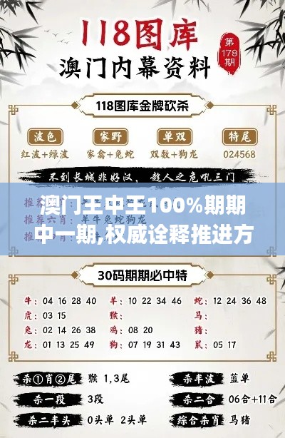 澳门王中王100%期期中一期,权威诠释推进方式_冒险款59.407