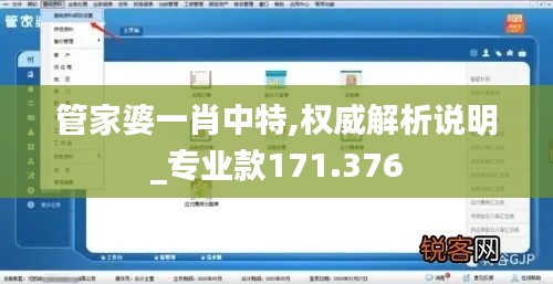 管家婆一肖中特,权威解析说明_专业款171.376