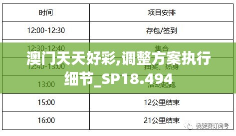 澳门天天好彩,调整方案执行细节_SP18.494