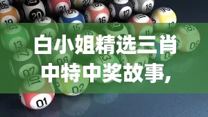 白小姐精选三肖中特中奖故事,实效性解读策略_尊贵款30.219