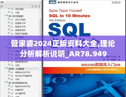 管家婆2024正版资料大全,理论分析解析说明_AR78.949